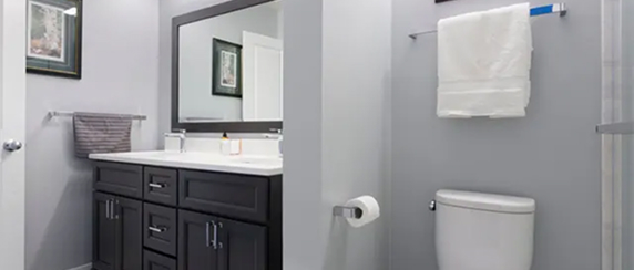 bathroom-sectioned